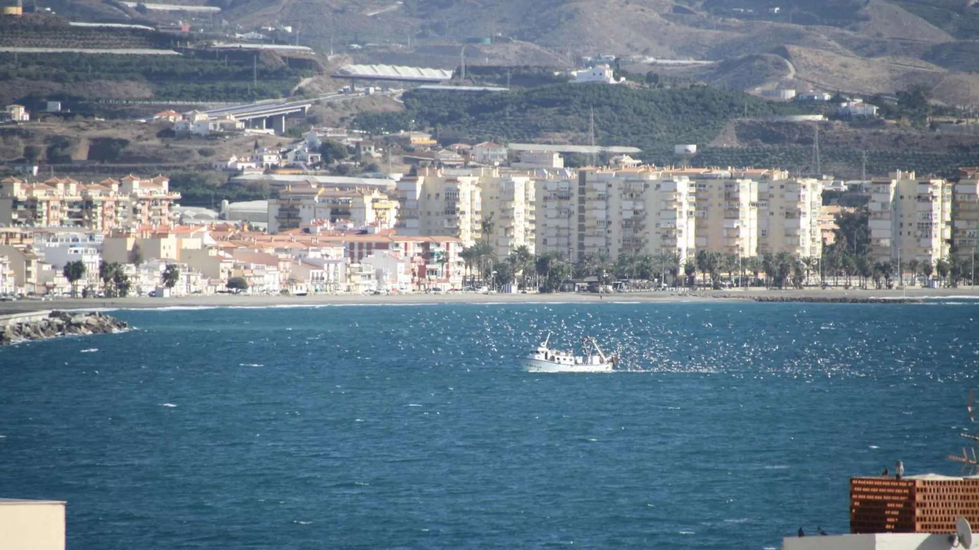 Estudio Plazamar Beach Torre Del Mar 0*,  Spain